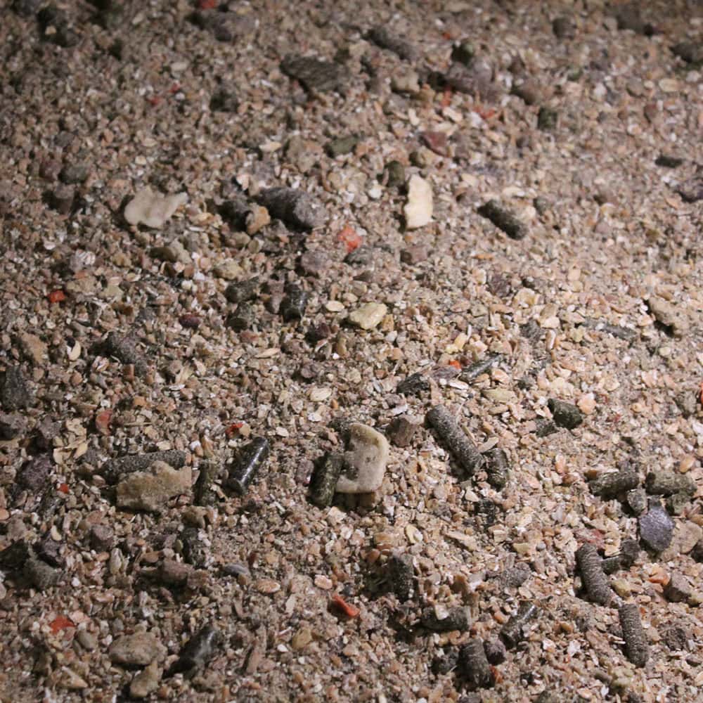 Kälberstart für Ökobetriebe