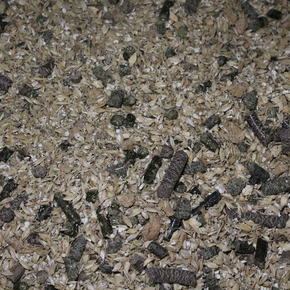 Pferdefutter für Ökobetriebe