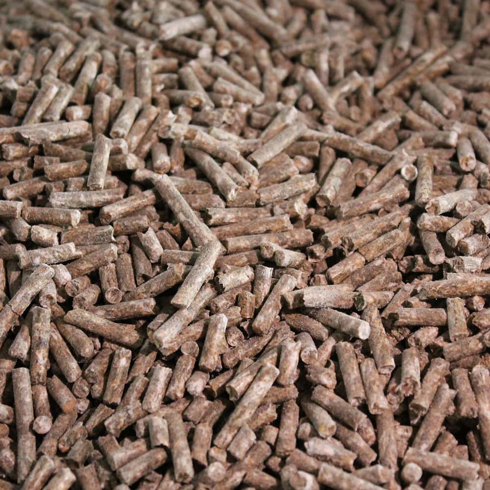 Premium Alpaka für Ökobetriebe